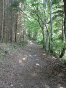 dans les bois au dessus de la Benague
